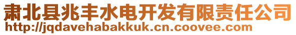 肅北縣兆豐水電開發(fā)有限責(zé)任公司