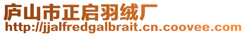 廬山市正啟羽絨廠