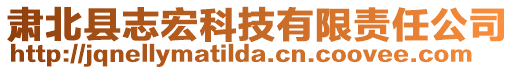 肅北縣志宏科技有限責(zé)任公司