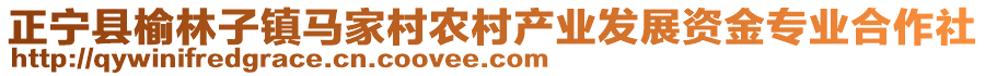 正寧縣榆林子鎮(zhèn)馬家村農(nóng)村產(chǎn)業(yè)發(fā)展資金專業(yè)合作社