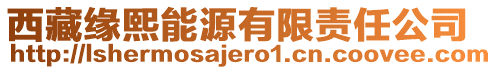 西藏缘熙能源有限责任公司