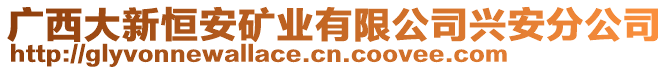 廣西大新恒安礦業(yè)有限公司興安分公司