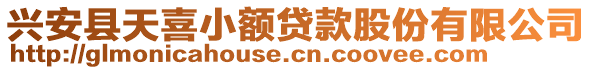 兴安县天喜小额贷款股份有限公司