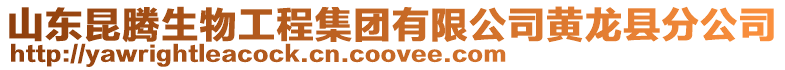 山東昆騰生物工程集團(tuán)有限公司黃龍縣分公司