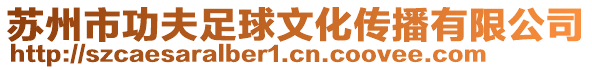 蘇州市功夫足球文化傳播有限公司