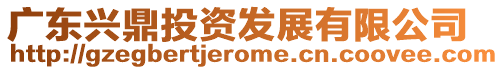 廣東興鼎投資發(fā)展有限公司