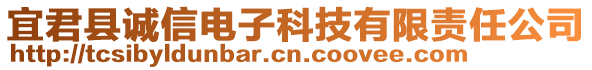 宜君县诚信电子科技有限责任公司