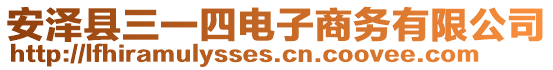 安澤縣三一四電子商務(wù)有限公司