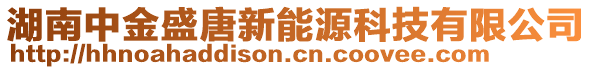 湖南中金盛唐新能源科技有限公司