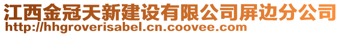 江西金冠天新建設有限公司屏邊分公司