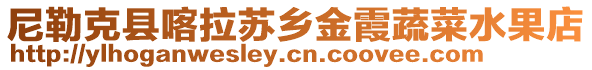 尼勒克縣喀拉蘇鄉(xiāng)金霞蔬菜水果店