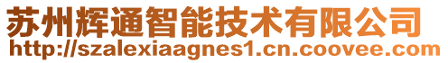 蘇州輝通智能技術有限公司