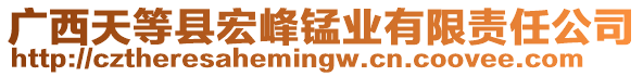 廣西天等縣宏峰錳業(yè)有限責(zé)任公司