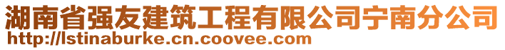 湖南省强友建筑工程有限公司宁南分公司