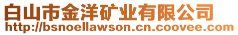 白山市金洋礦業(yè)有限公司