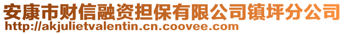 安康市財信融資擔保有限公司鎮(zhèn)坪分公司