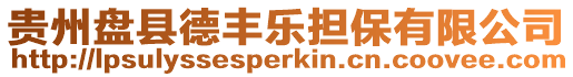 貴州盤縣德豐樂擔保有限公司