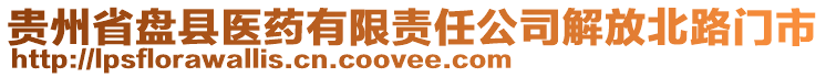 貴州省盤縣醫(yī)藥有限責(zé)任公司解放北路門市