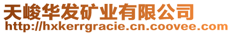 天峻華發(fā)礦業(yè)有限公司