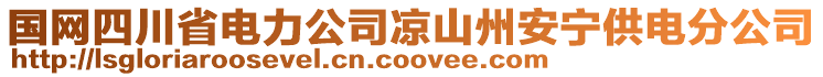 國網(wǎng)四川省電力公司涼山州安寧供電分公司