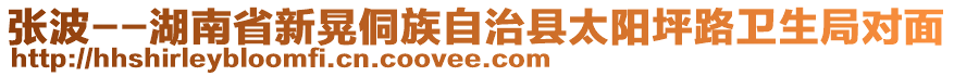 張波--湖南省新晃侗族自治縣太陽坪路衛(wèi)生局對面