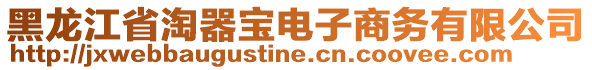 黑龍江省淘器寶電子商務(wù)有限公司