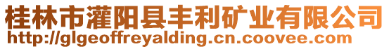 桂林市灌陽(yáng)縣豐利礦業(yè)有限公司