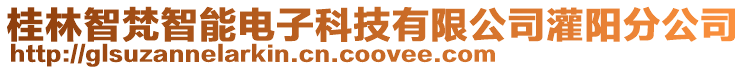 桂林智梵智能電子科技有限公司灌陽分公司