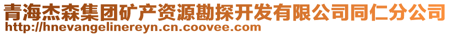 青海杰森集团矿产资源勘探开发有限公司同仁分公司