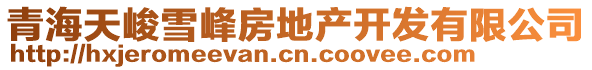 青海天峻雪峰房地產(chǎn)開發(fā)有限公司