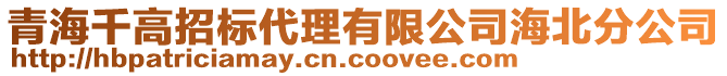 青海千高招標(biāo)代理有限公司海北分公司