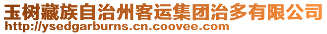 玉樹藏族自治州客運集團治多有限公司