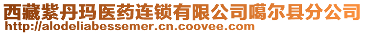 西藏紫丹瑪醫(yī)藥連鎖有限公司噶爾縣分公司