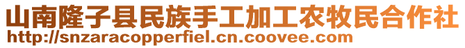 山南隆子县民族手工加工农牧民合作社
