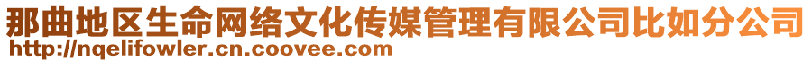 那曲地區(qū)生命網絡文化傳媒管理有限公司比如分公司