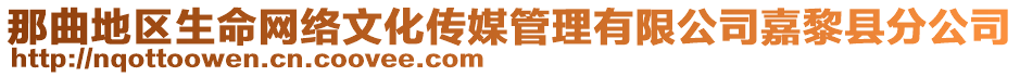 那曲地区生命网络文化传媒管理有限公司嘉黎县分公司