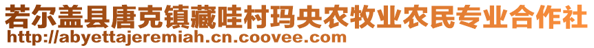 若爾蓋縣唐克鎮(zhèn)藏哇村瑪央農(nóng)牧業(yè)農(nóng)民專業(yè)合作社