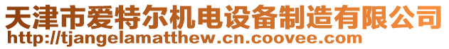 天津市愛特爾機電設備制造有限公司