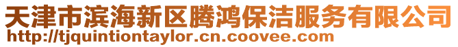 天津市濱海新區(qū)騰鴻保潔服務(wù)有限公司