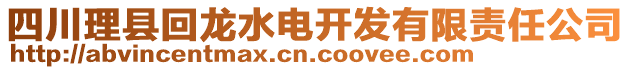 四川理縣回龍水電開發(fā)有限責任公司