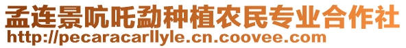 孟連景吭吒勐種植農(nóng)民專業(yè)合作社