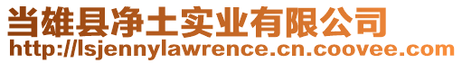 當(dāng)雄縣凈土實業(yè)有限公司