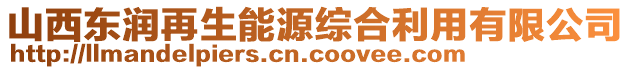 山西東潤(rùn)再生能源綜合利用有限公司