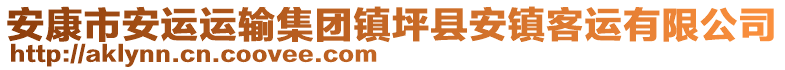 安康市安運(yùn)運(yùn)輸集團(tuán)鎮(zhèn)坪縣安鎮(zhèn)客運(yùn)有限公司