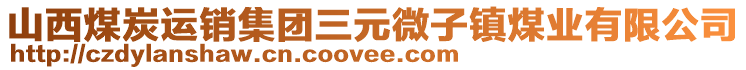 山西煤炭運銷集團三元微子鎮(zhèn)煤業(yè)有限公司