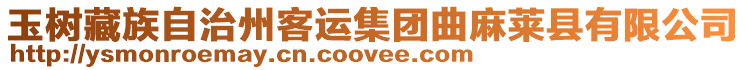 玉樹藏族自治州客運集團曲麻萊縣有限公司