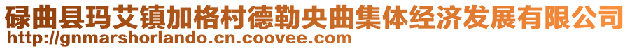 碌曲縣瑪艾鎮(zhèn)加格村德勒央曲集體經(jīng)濟(jì)發(fā)展有限公司