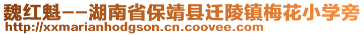 魏紅魁--湖南省保靖縣遷陵鎮(zhèn)梅花小學(xué)旁