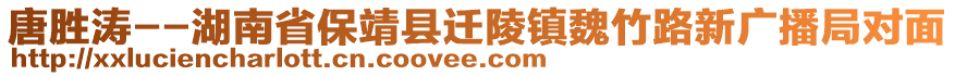 唐勝濤--湖南省保靖縣遷陵鎮(zhèn)魏竹路新廣播局對(duì)面