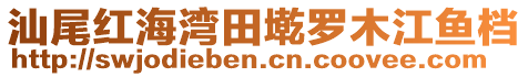 汕尾紅海灣田墘羅木江魚檔